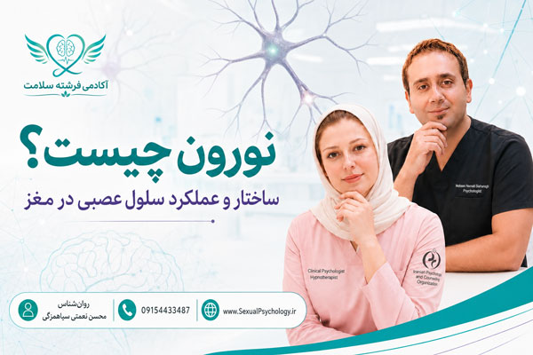 نورون چیست؟ ساختار و عملکرد سلول عصبی در مغز انسان 