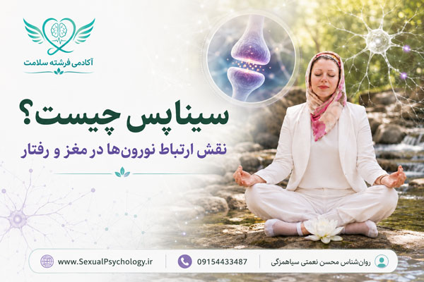 سیناپس چیست؟ نقش ارتباط نورون‌ها در مغز و رفتار انسان